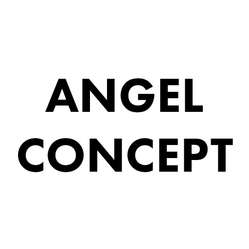 Angel Concept